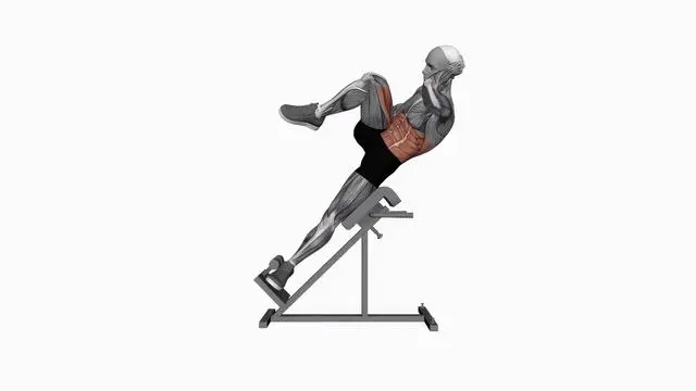 45 degree bicycle twist knee to elbow (2)