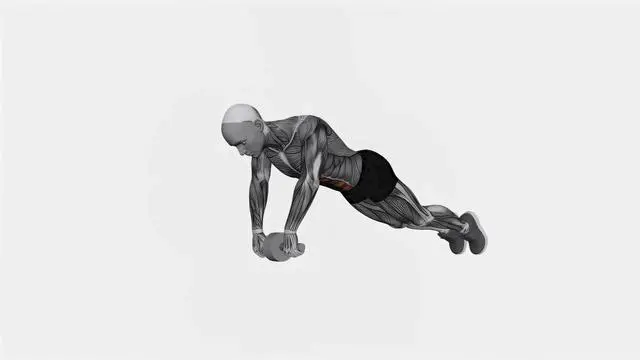 Ab Wheel Plank (2)