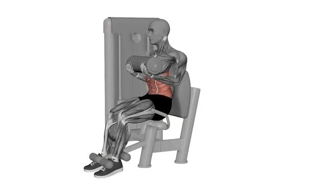 Abdominal crunches (3)
