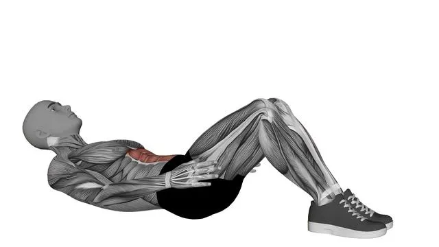 Abdominal crunches (5)