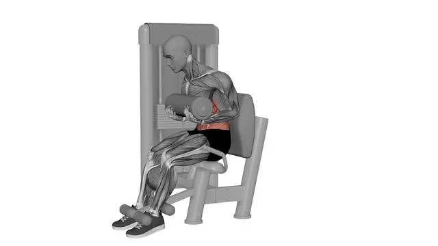 Abdominal Crunches Machine (2)