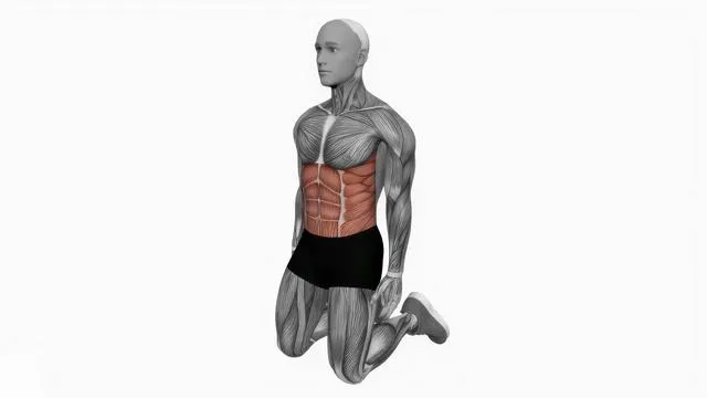 Abdominal stretch (4)