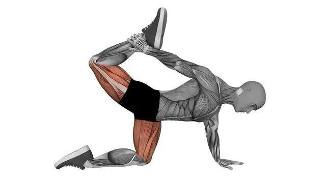 All fours quad stretch (2)