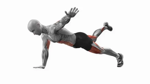 Alternate arm leg plank (2)