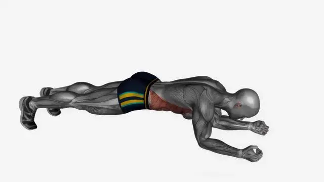 Alternate arm leg plank (6)