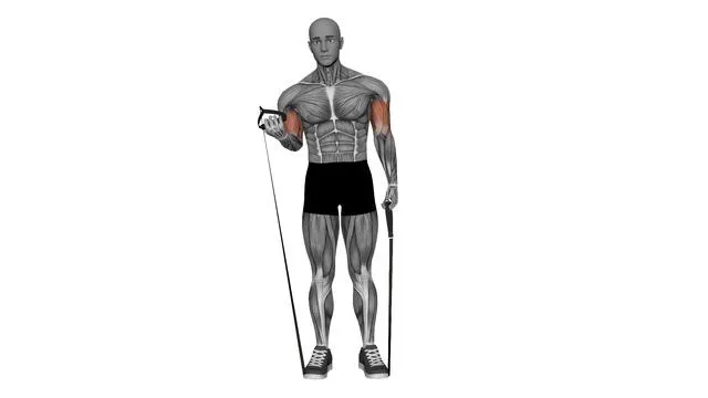 Alternate Bicep Curl Resistance Band (2)