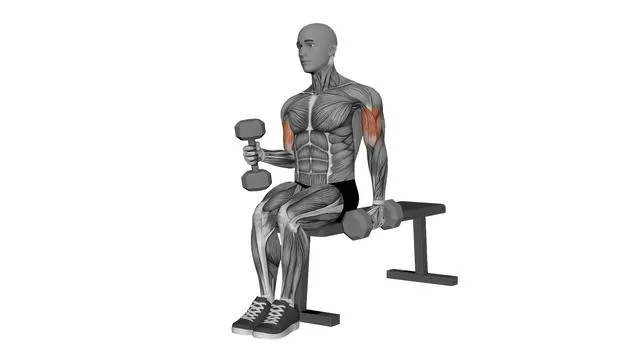 Alternate hammer curl seated dumbbells (2)