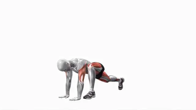 Alternating Plank Lunge (2)