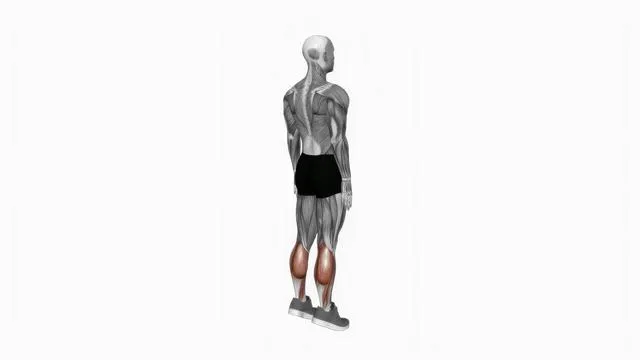 Ankle - Plantar Flexion (2)