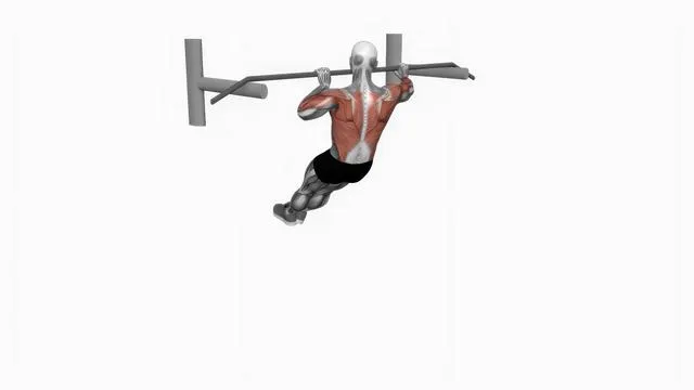 Archer pull up (2)