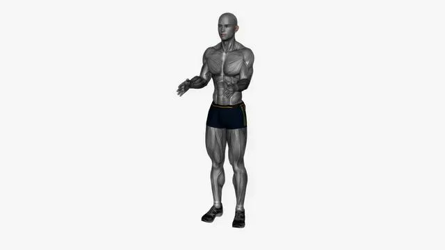 Arm pulses (2)