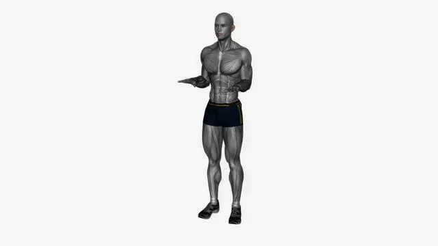 Arm pulses (3)