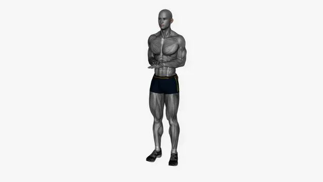 Arm pulses (4)