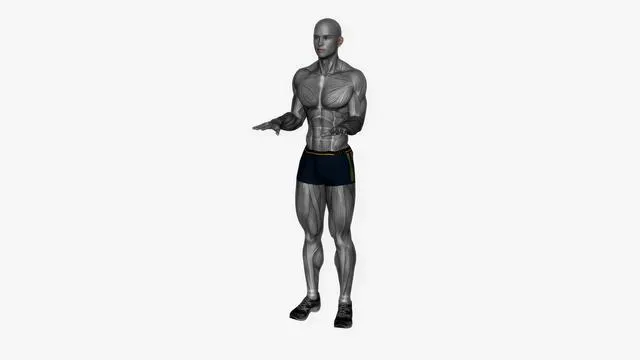 Arm pulses (6)