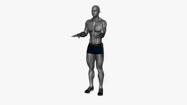 Arm pulses (8)