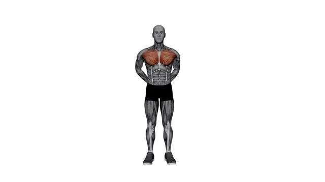 Arms Behind Back Chest Stretch (2)