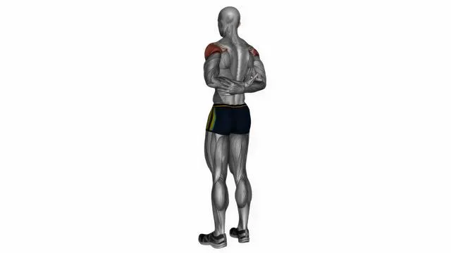Arms behind back shoulder flexor stretch (2)