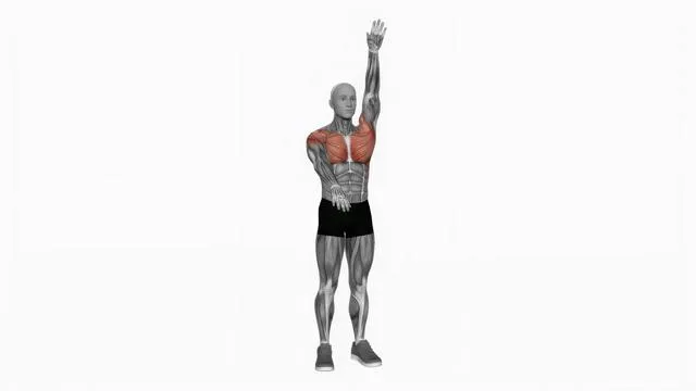 Arms up and down (2)
