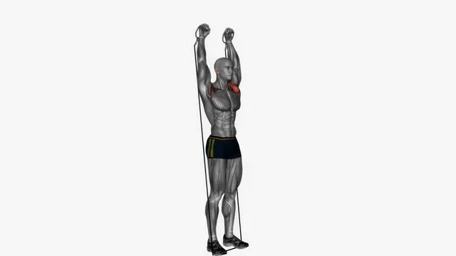 Arnold press cable Resistance band standing (2)