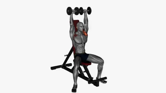 Arnold press dumbbell (2)