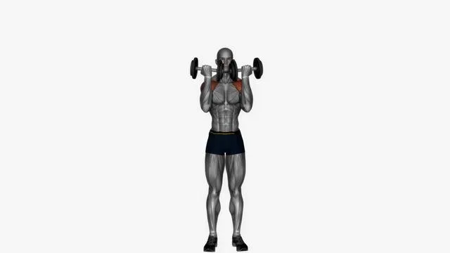 Arnold press dumbbell (3)
