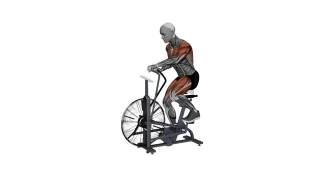 Assault AirBike Fast Speed (2)