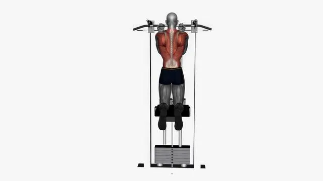 Assisted chin up normal width reverse grip (2)