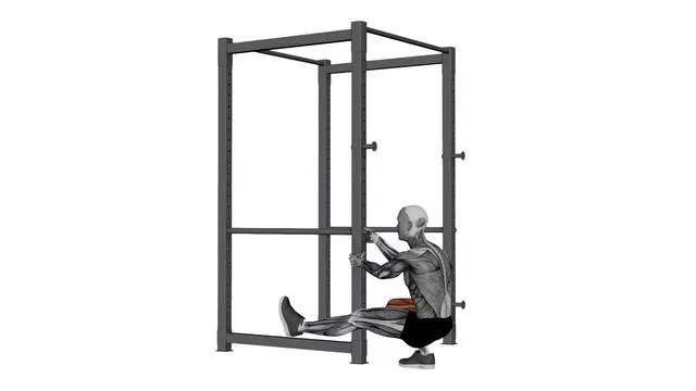 Assisted Pistol Squats (2)