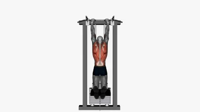 Assisted pull up (4)