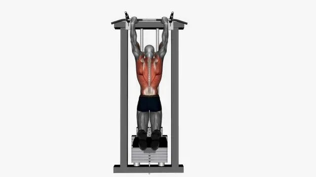 Assisted pull up (5)