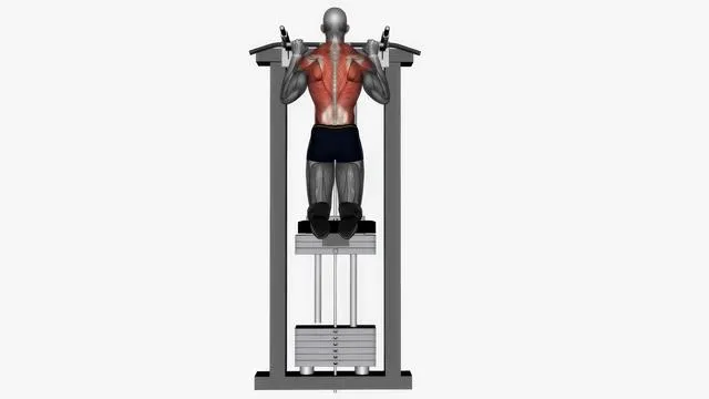 Assisted pull up normal grip (2)