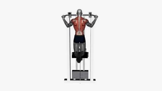 Assisted pull up wide grip (2)