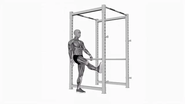 Back and forward leg swings (2)