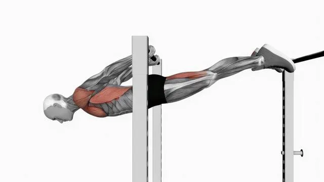 Back lever (2)