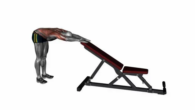 Back stretch dynamic (2)