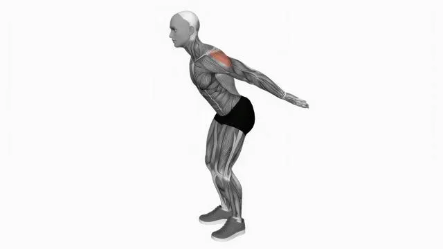 Backhand raise (2)
