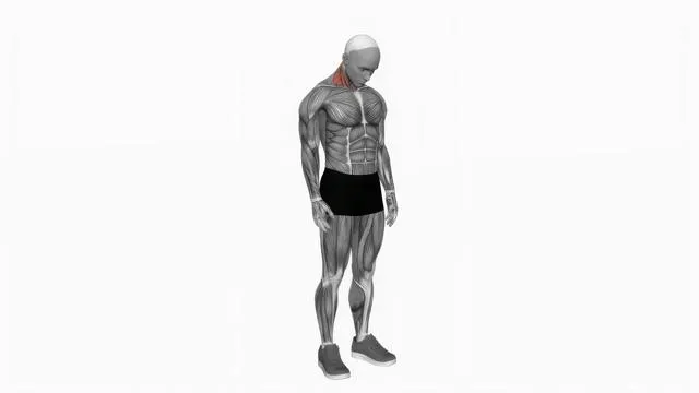 Backward Forward Turn to Side Neck Stretch (2)