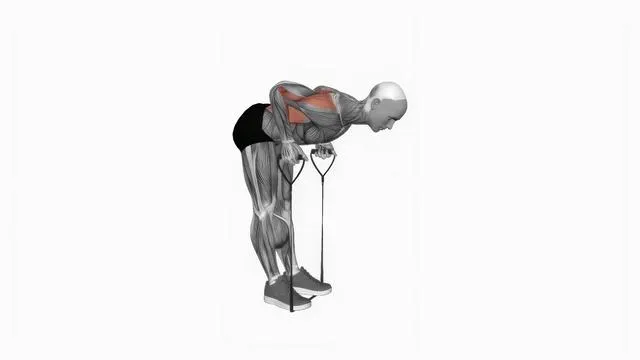Band bent-over row (2)
