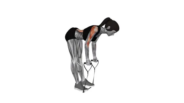 Band bent-over row (3)