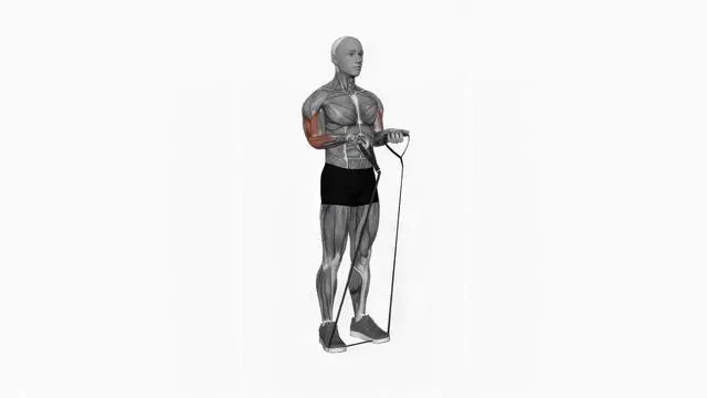 Band close-grip biceps curl (2)