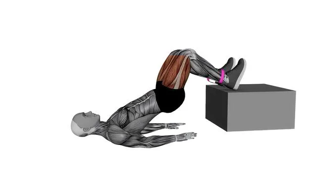Banded Feet Elevated Hip Thrusters (2)
