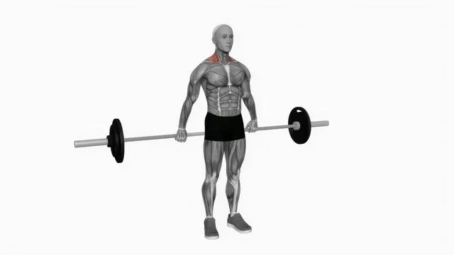 Barbell Back Wide Shrug (2)