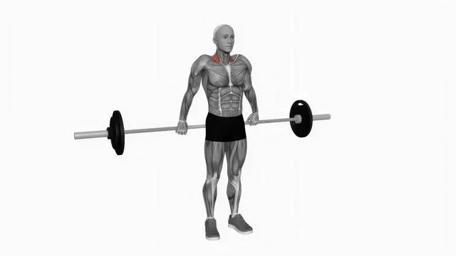 Barbell Back Wide Shrug (3)