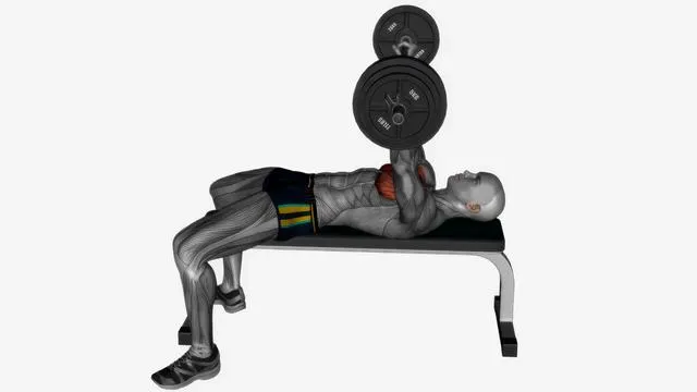 Barbell Bench Press (2)