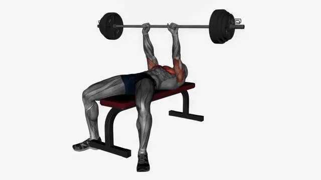 Barbell Bench Press (12)