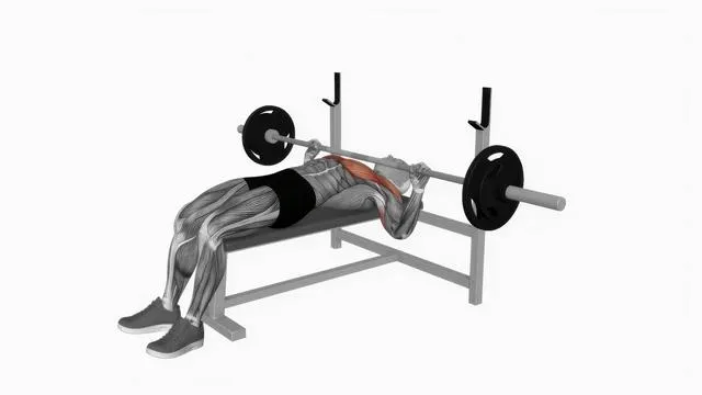 Barbell Bench Press (3)