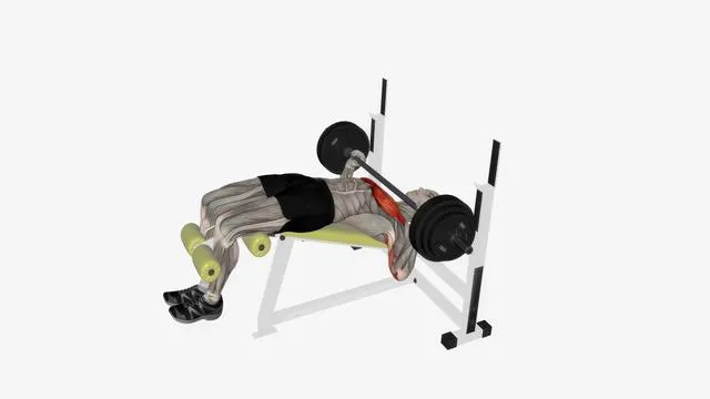 Barbell Bench Press (5)