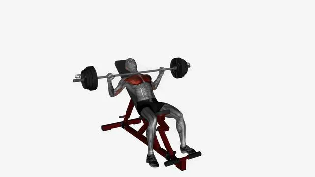 Barbell Bench Press (6)