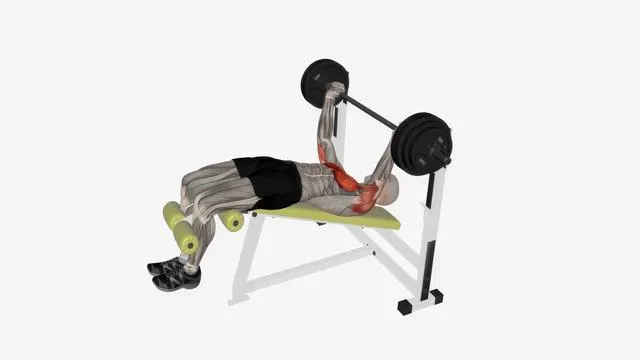 Barbell Bench Press (7)