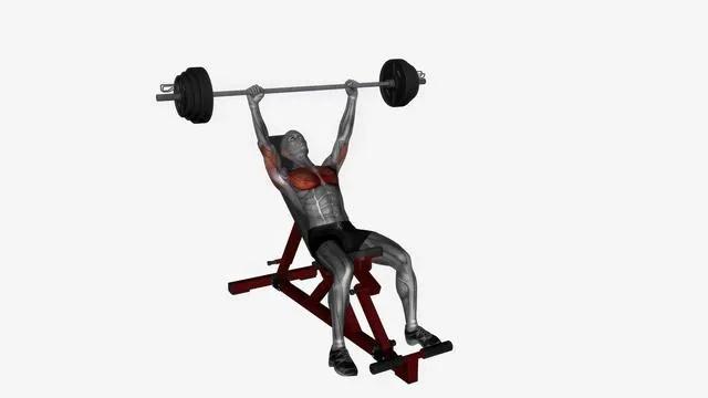 Barbell Bench Press (8)